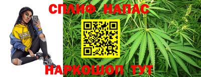 индика Сланцы