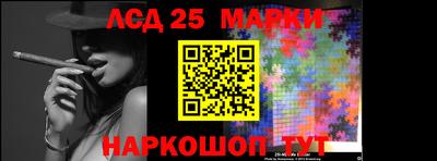 индика Сланцы