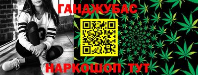 индика Сланцы