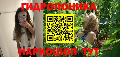стафф Славгород