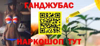 индика Сланцы