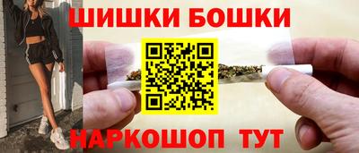 индика Сланцы