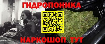 индика Сланцы