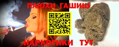 индика Сланцы