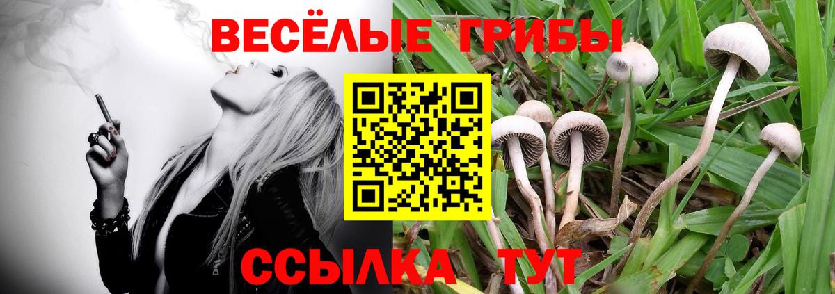 Галлюциногенные грибы Cubensis Ноябрьск